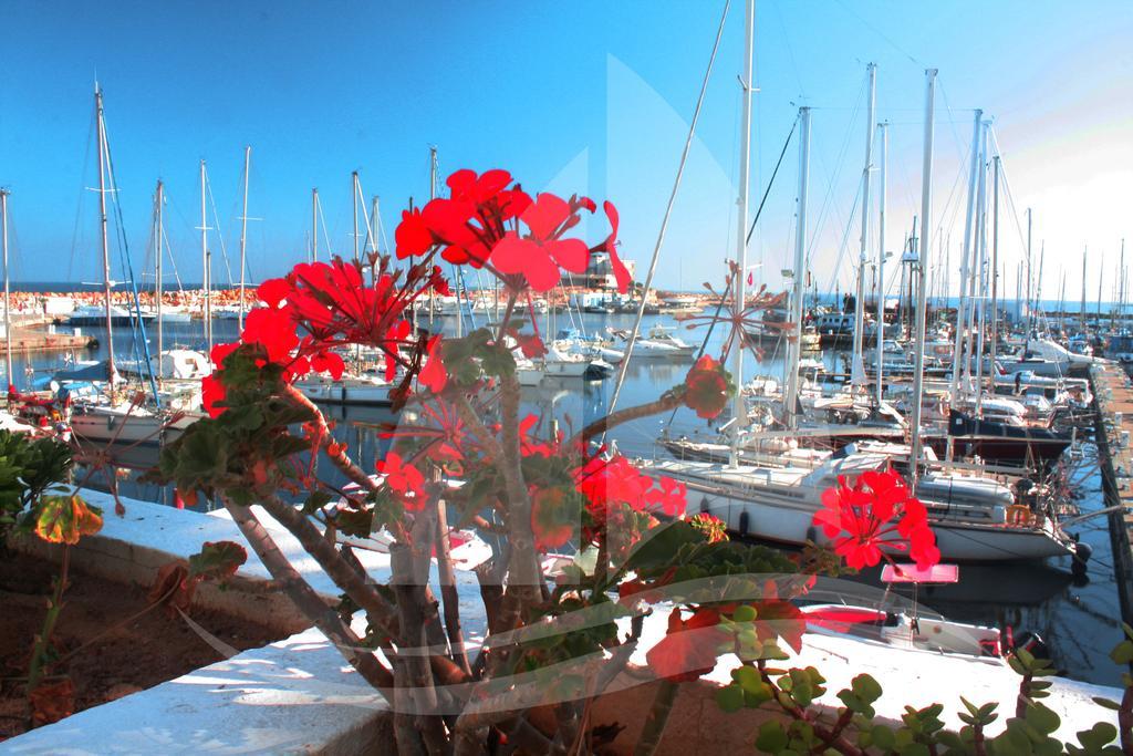 Hotel Marina Cap Monastir-